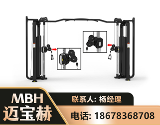 黑河大飞鸟训练器