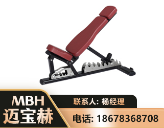 黑河可调哑铃椅